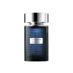 בושם Rochas L'Homme E.D.T 100ml