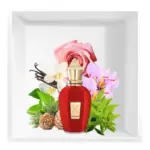 Xerjoff Wardsina E.D.P 100ml