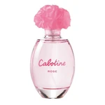 טסטר גרס קבוטין רוז (א) אדט 100מל